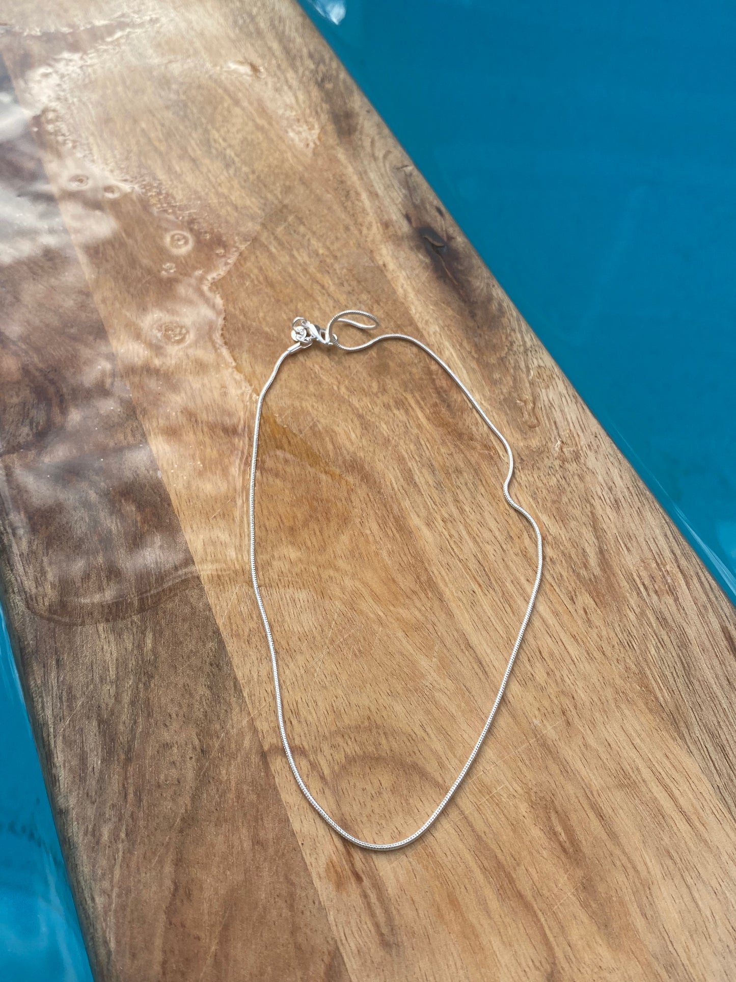 Simplicity Silver Snake Necklace